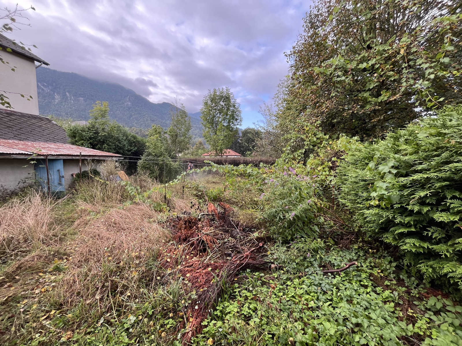 Aménagement extérieur avant travaux